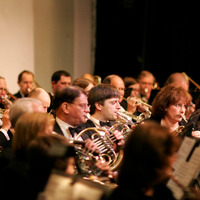 Image thumbnail for pcb-concert2006-006